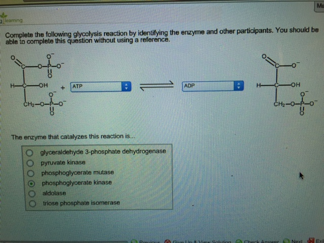 Solved learning Complete the following glycolysis reaction | Chegg.com