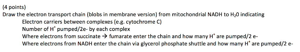 Solved (4 points) Draw the electron transport chain (blobs | Chegg.com