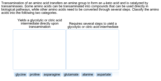 Solved Transamination of an amino acid transfers an amine | Chegg.com