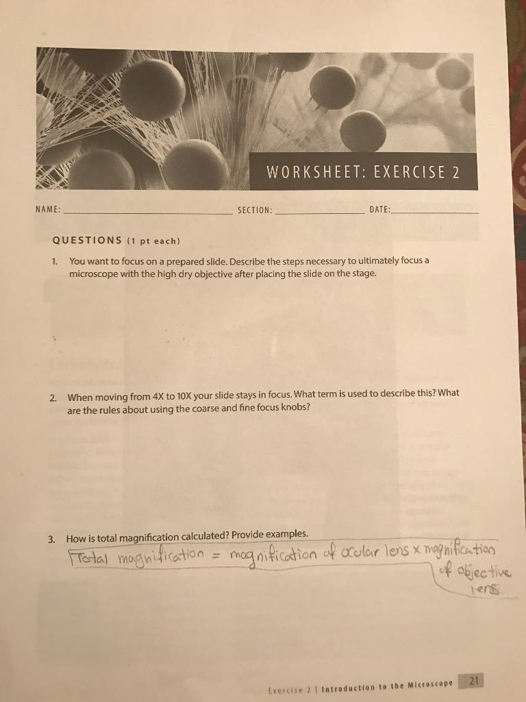 Using A Microscope Worksheet