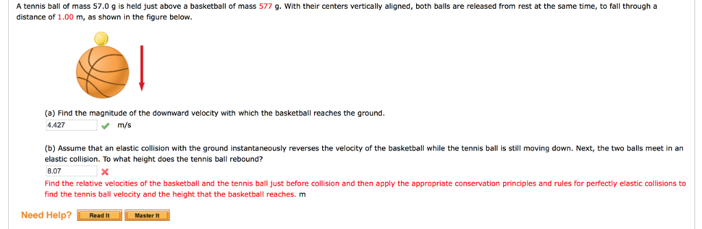 Solved A Tennis Ball Of Mass 57.0 G Is Held Just Above A | Chegg.com