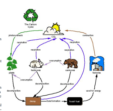 Solved Problem 1. Concept maps show connections (lines) | Chegg.com