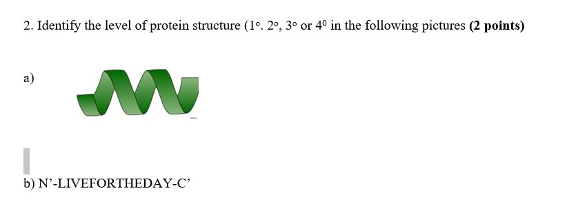 Solved 2. Identify the level of protein structure (1。20, 3o | Chegg.com