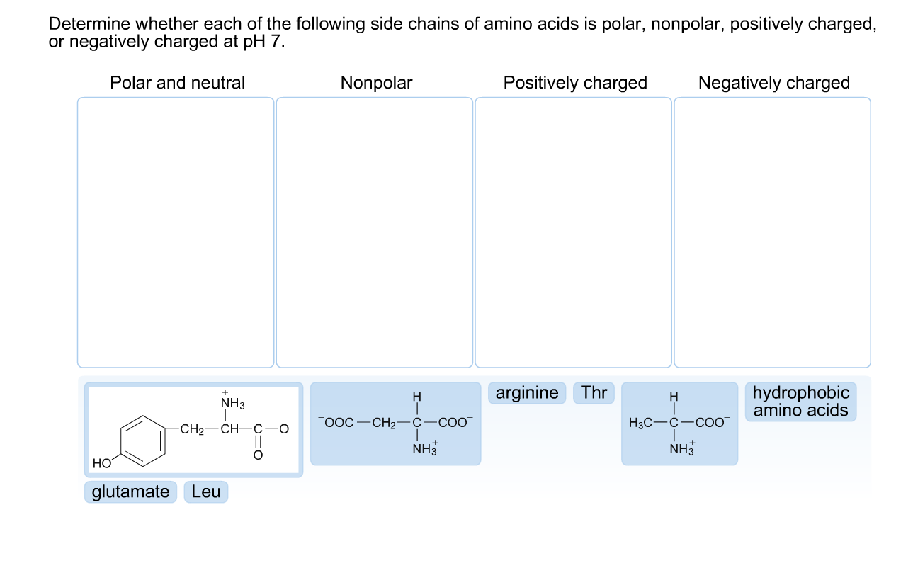 Solved Determine whether each of the following side chains | Chegg.com