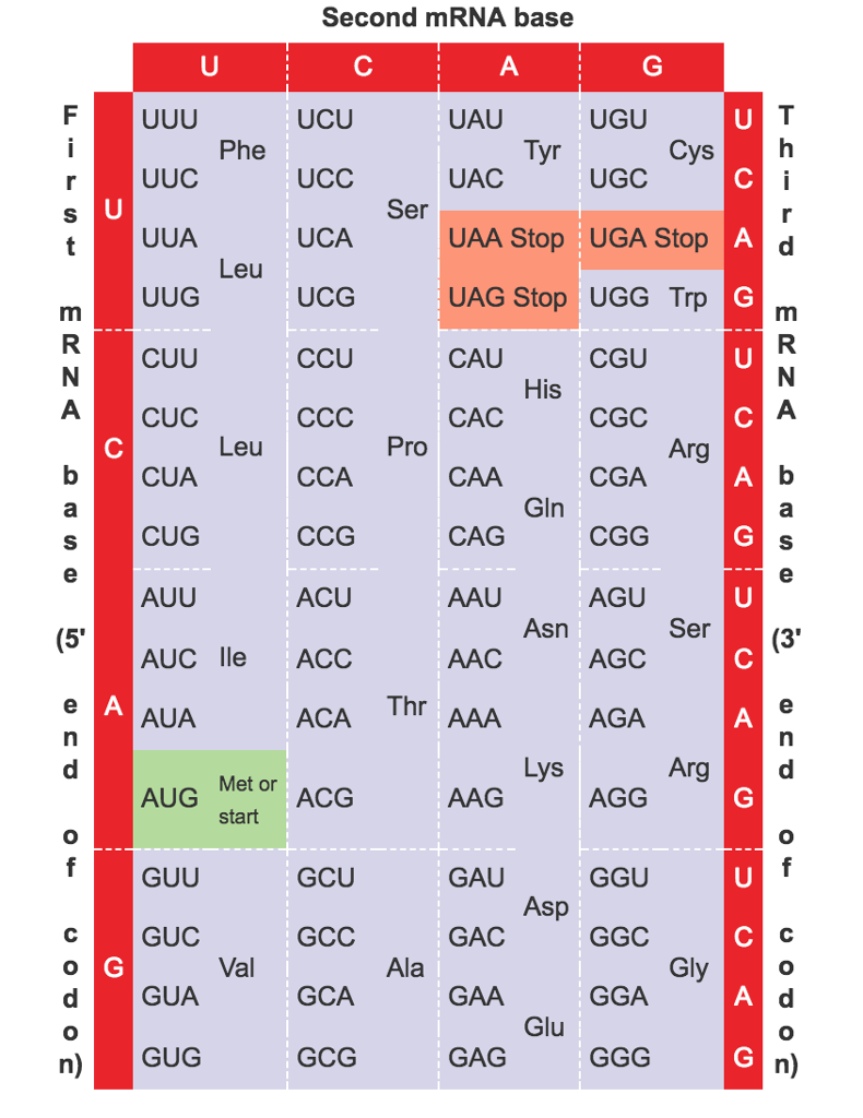 The amino acid location for each patient's | Chegg.com