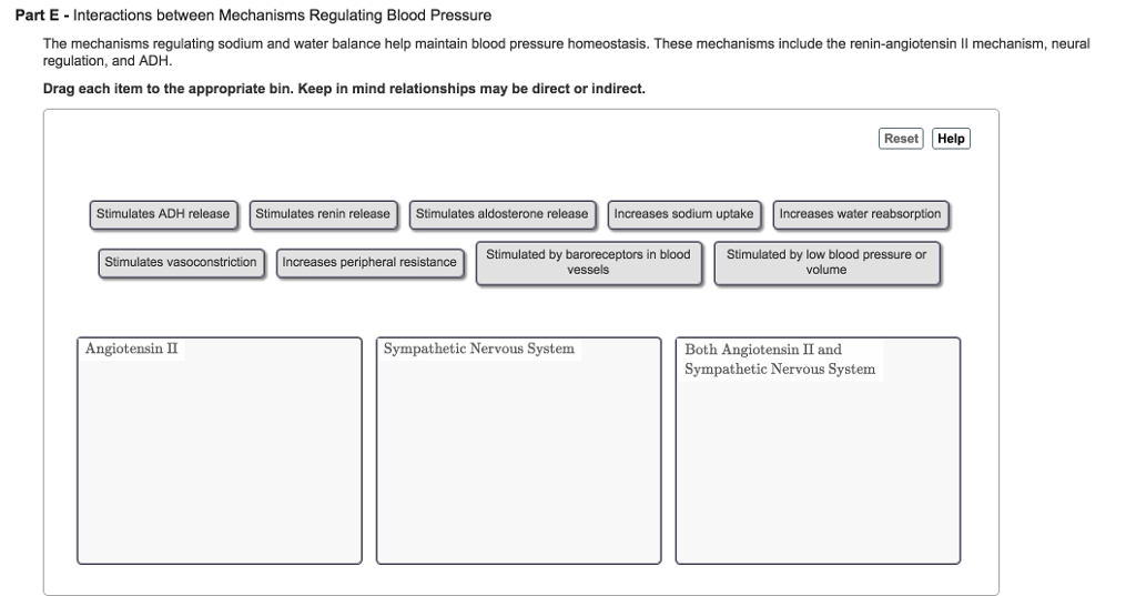 Solved Part D Sympathetic Regulation of Blood Pressure In | Chegg.com