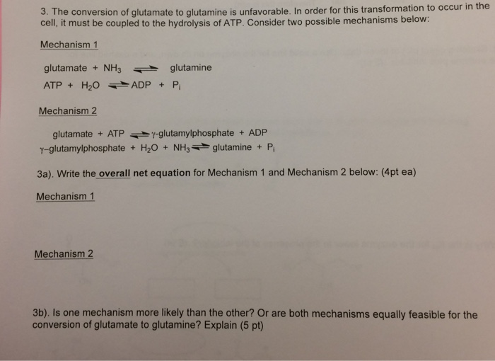 Solved The conversion of glutamate to glutamine is
