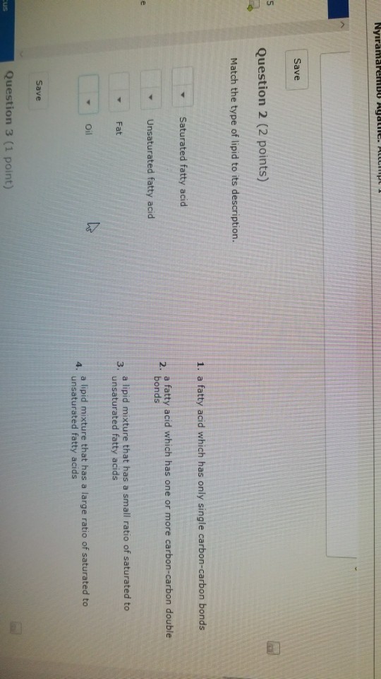 Solved Save Question 2 (2 points) Match the type of lipid to | Chegg.com