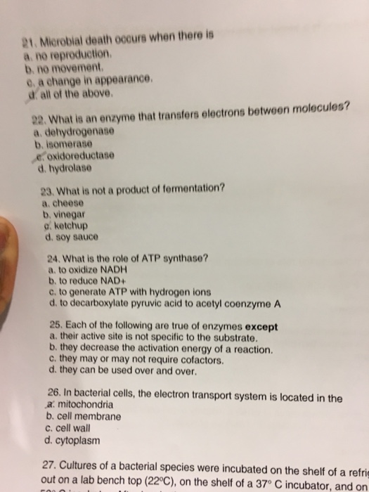 Solved Microbial death occurs when there is no