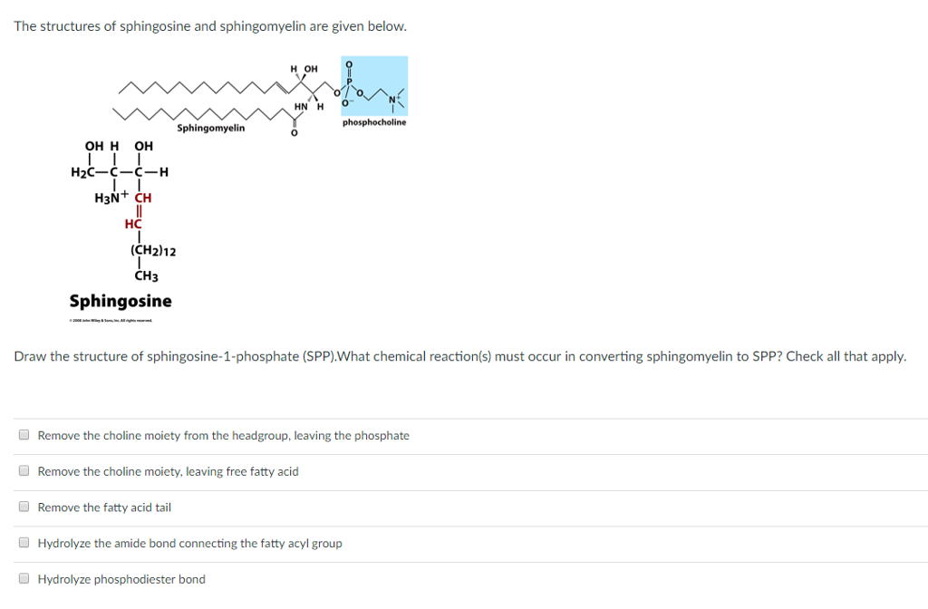 Solved The structures of sphingosine and sphingomyelin are