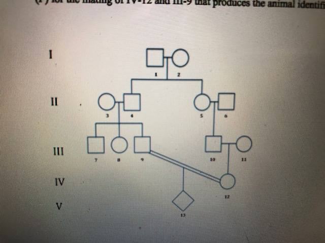 Solved The pedigree shown below depicts crosses performed as | Chegg.com