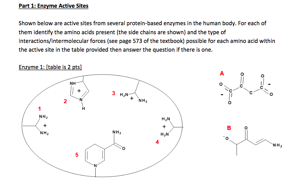 Solved Part 1 Enzyme Active Sites Shown below are active