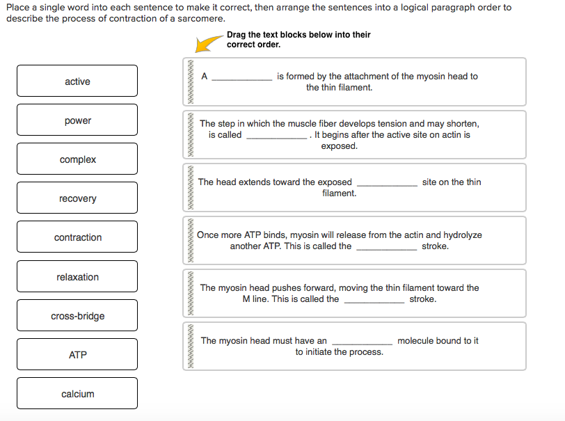 Solved Place A Single Word Into Each Sentence To Make It Chegg