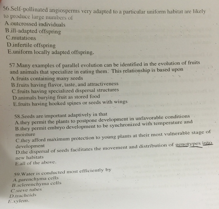 Solved Solipollinated angiosperms very adapted to a