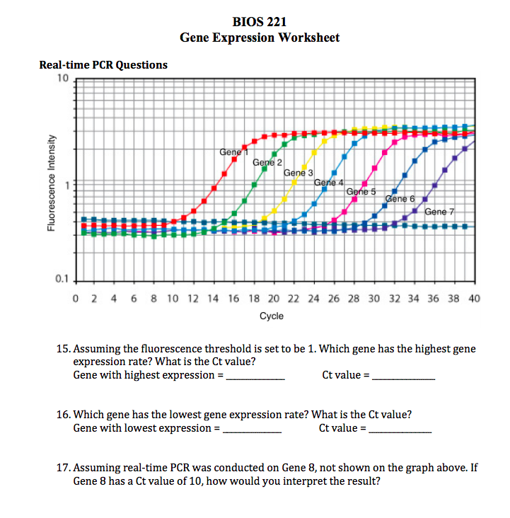 Pcr 101 Student Worksheet Answers