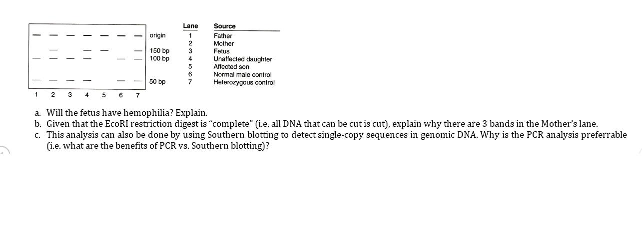 solved-will-the-fetus-have-hemophilia-explain-given-chegg