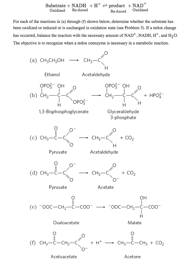 Solved 5. Nicotinamide Coenzymes as Reversible | Chegg.com