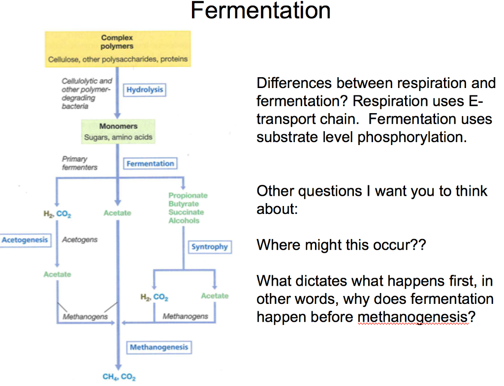 Solved Differences between respiration and fermentation?