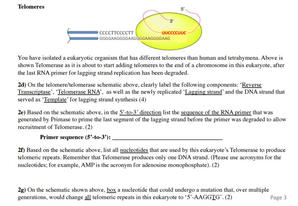 Solved You have isolated a eukaryotic organism that has | Chegg.com