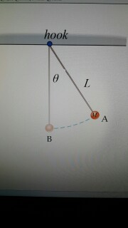 Solved 1. The Figure Shows A Simple Pendulum. The Mass Of | Chegg.com