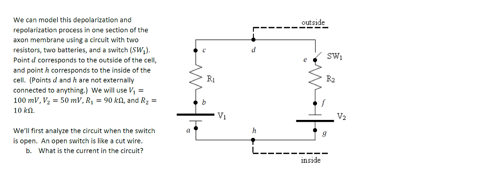 Solved We can model this depolarization and repolarization | Chegg.com