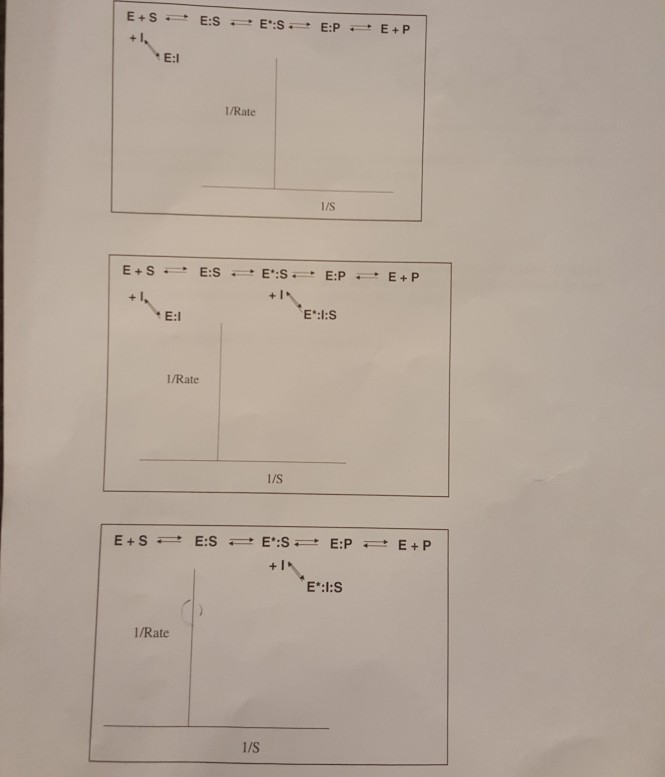Solved For each panel, indicate the type of inhibition | Chegg.com
