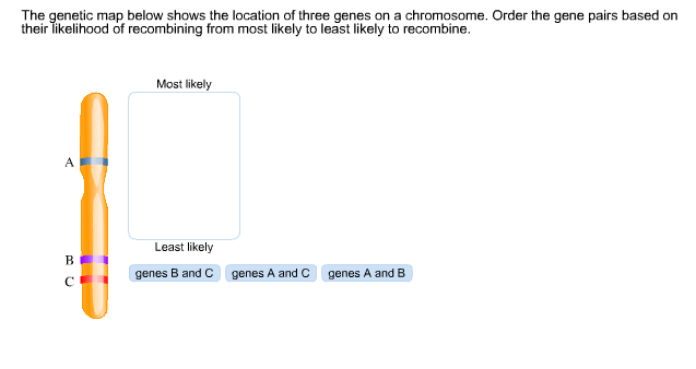 Solved The genetic map below shows the location of three | Chegg.com