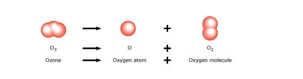 Solved The options for the answers to the questions are in | Chegg.com