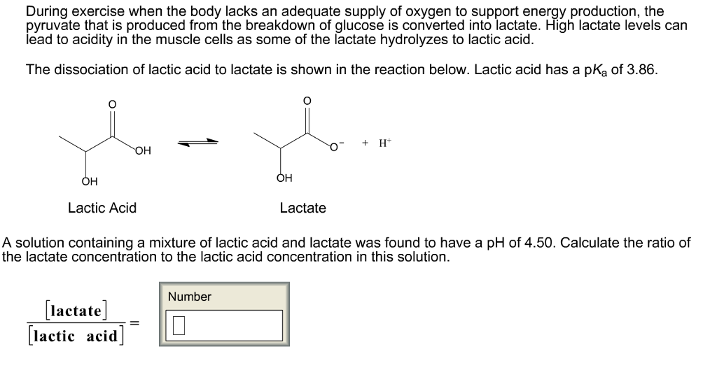 Solved During Exercise when the body lacks an adequate