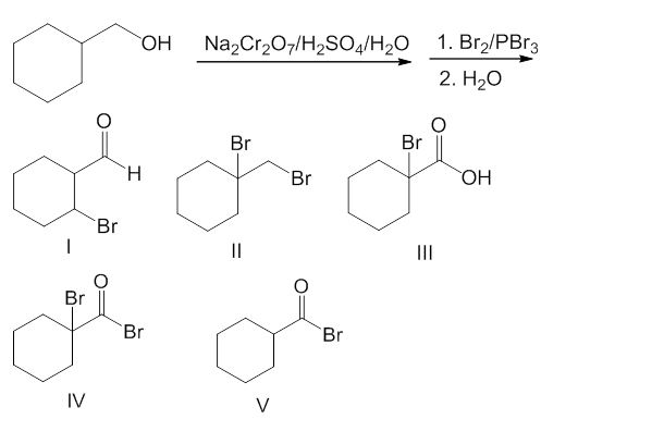 Solved 1. NaOH/Br 2. H30" ?? Br Br ?? Br Br OBr ?? ?? IV | Chegg.com
