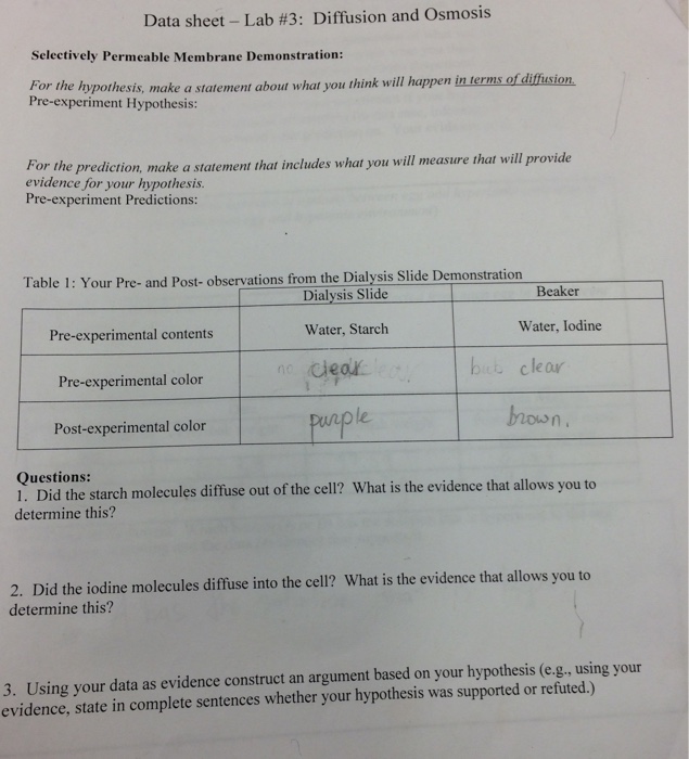 experiment hypothesis statement