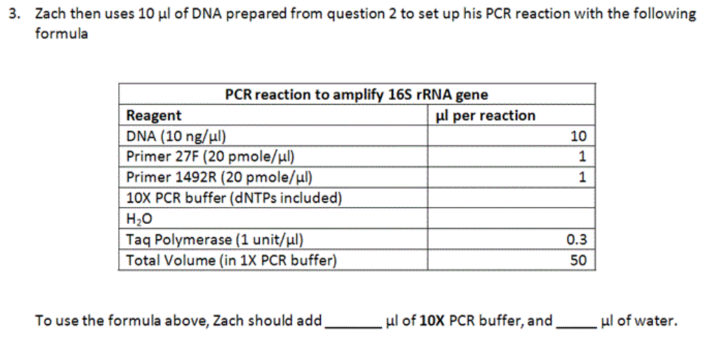 Solved 3. Zach then uses 10 ul of DNA prepared from question | Chegg.com