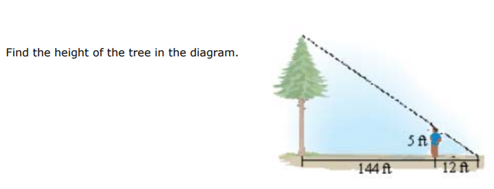 Solved Find the height of the tree in the diagram. | Chegg.com