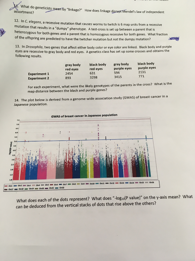 solved-what-do-geneticists-mean-by-linkage-how-does-chegg