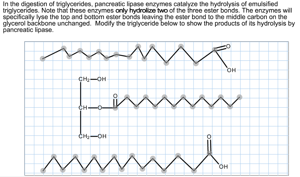 Solved In the digestion of triglycerides, pancreatic lipase