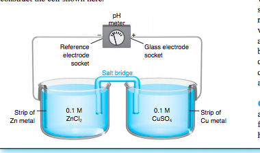 Solved pH Reference electrode socket Glass electrode socket | Chegg.com