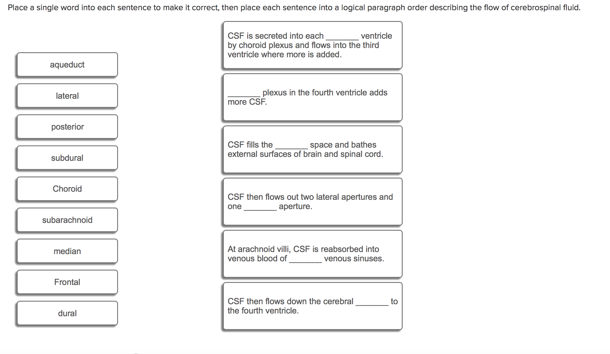 solved-place-a-single-word-into-each-sentence-to-make-it-chegg