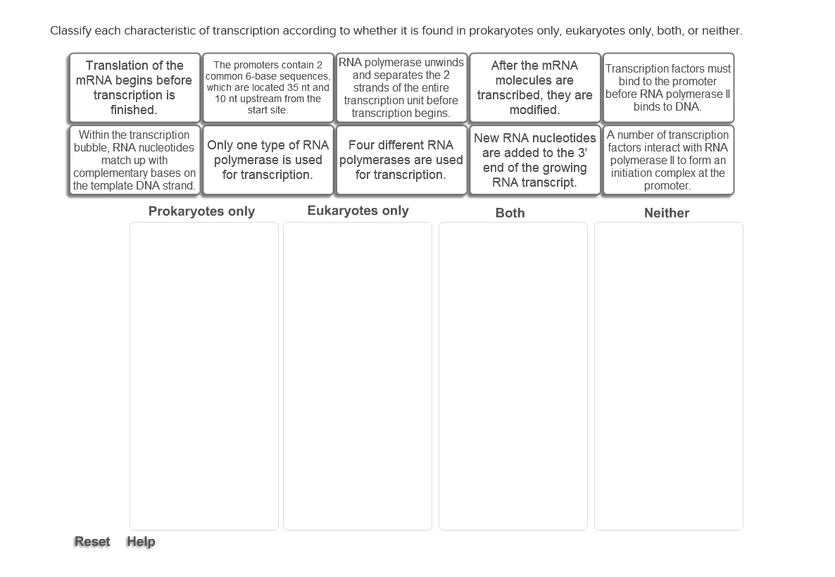 Solved Classify each characteristic of transcription | Chegg.com