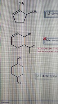 Solved Name the following cycloalkenes using systematic | Chegg.com