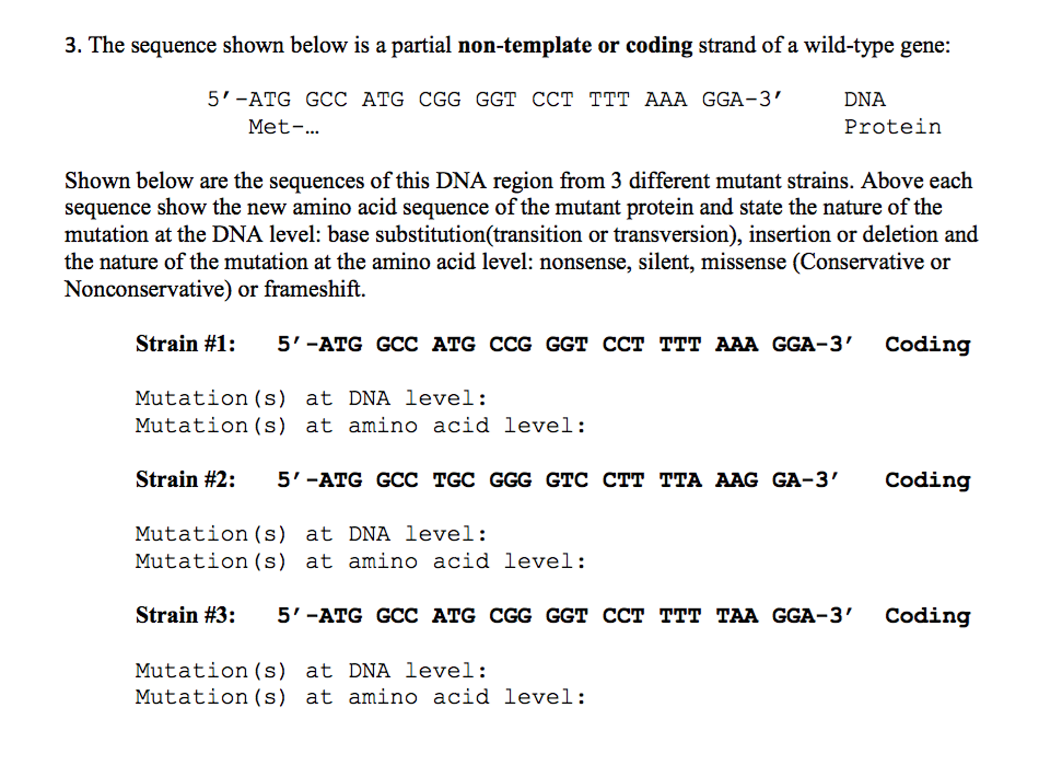 Solved The sequence shown below is a partial gene: 5' - | Chegg.com