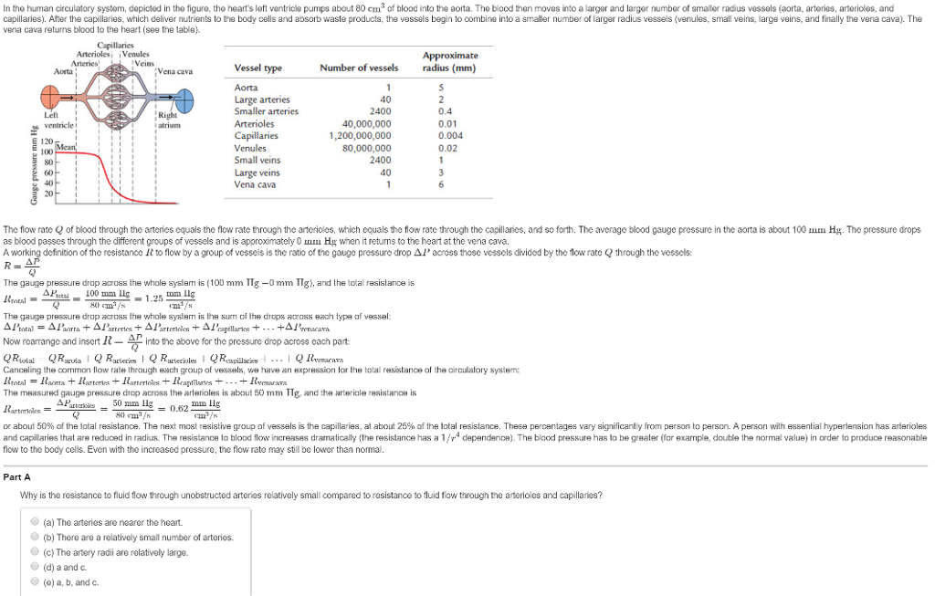 Solved In The Human Circulatory System, Depicted In The | Chegg.com