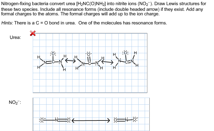 Nitrogen Fixing Bacteria Convert Urea H2nc O Chegg Com