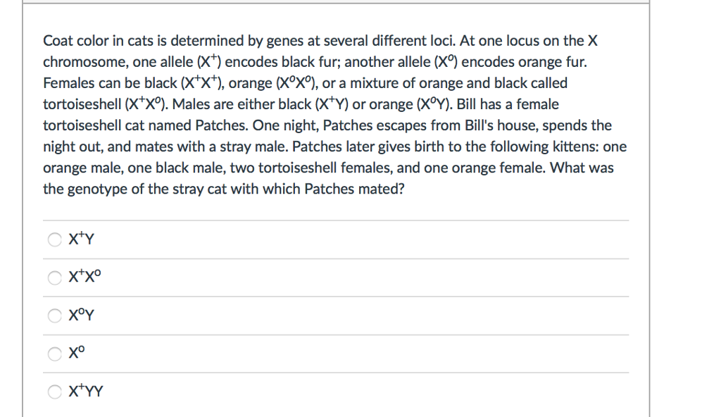 Solved Coat color in cats is determined by genes at several
