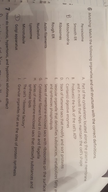 Solved 6 Matching: Match the following organelles and cell | Chegg.com