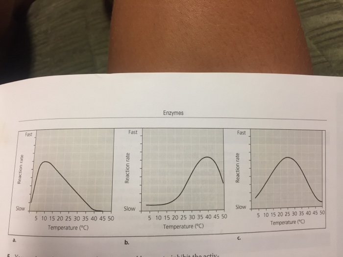 Solved There is an enzyme that catalyzes the production of | Chegg.com
