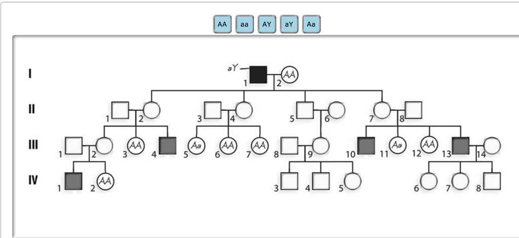 Solved Complete the pedigree provided to depict transmission | Chegg.com