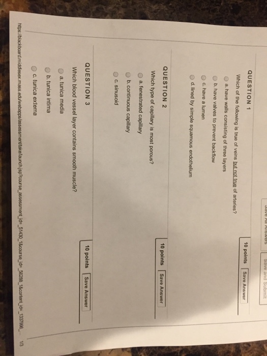 Solved QUESTION 10 Points Which Of The Following Is True Of Chegg