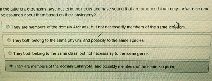 Solved If two different organisms nave nuclei in their cells | Chegg.com