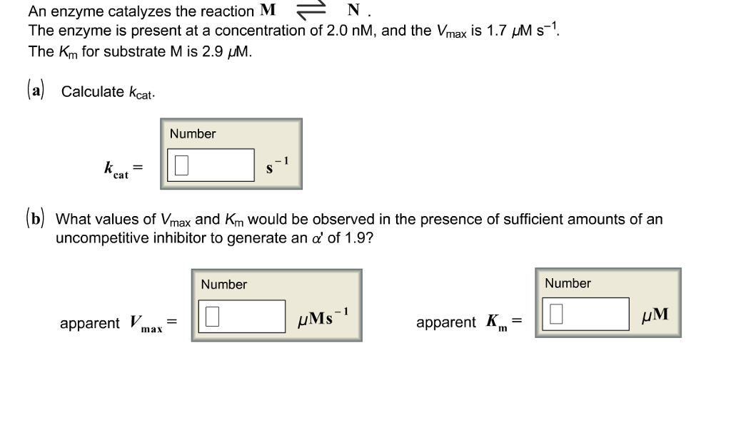 Solved An enzyme catalyzes the reaction M N The enzyme is | Chegg.com