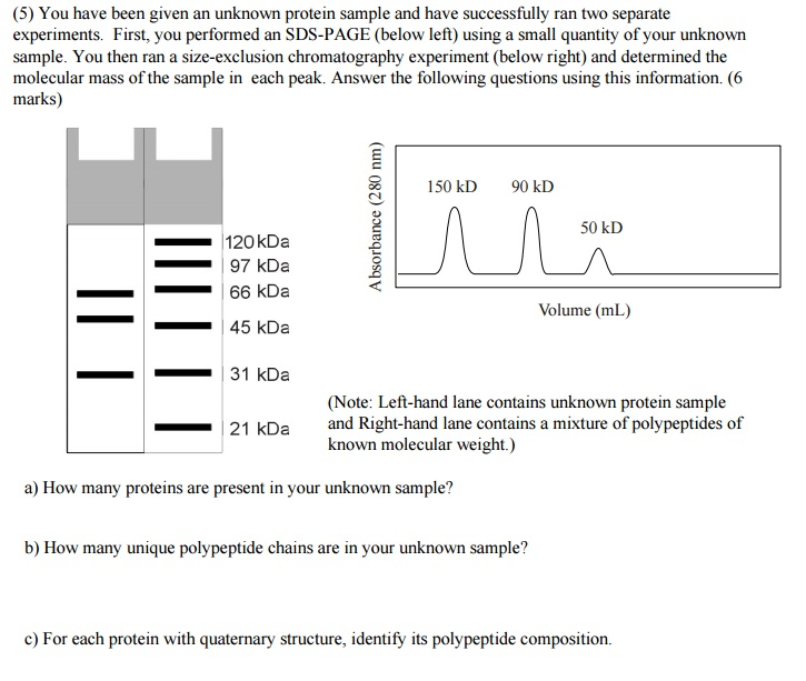 How To Calculate Size Of Protein In Kda Haiper